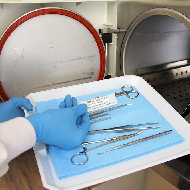 Autoclave-Crop-1